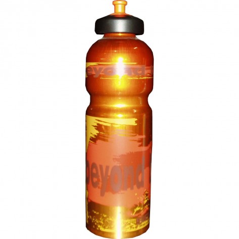 Botella THE LIMIT SIGG