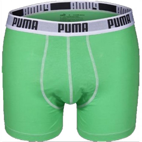 Boxer BASIC PUMA