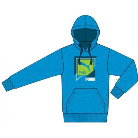 Sudadera FUN S.Casual Hooded Sweat Fl PUMA