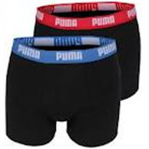 Boxer BASIC PUMA