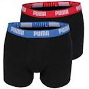 Boxer BASIC PUMA