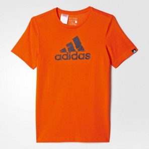 Camiseta SHRED LOGO ADIDAS