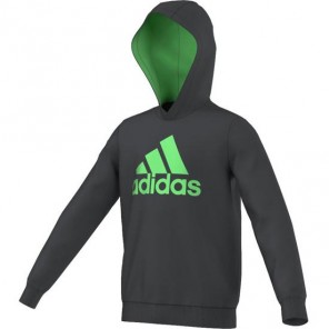 Sudadera YB ESS LOGO HD ADIDAS