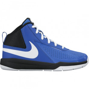 Zapatillas TEAM HUSTLE D 7 (GS) NIKE