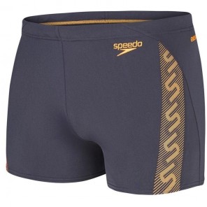 Bañador MONOGRAM AQUASHORT SPEEDO